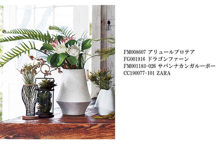 プロテアとカンガルーポー