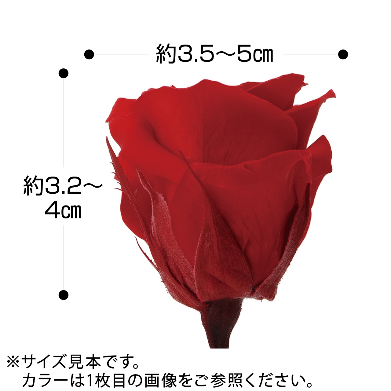 ニーナ グレープ プリザーブドフラワー PR000865-033 8輪入 ローズ バラ