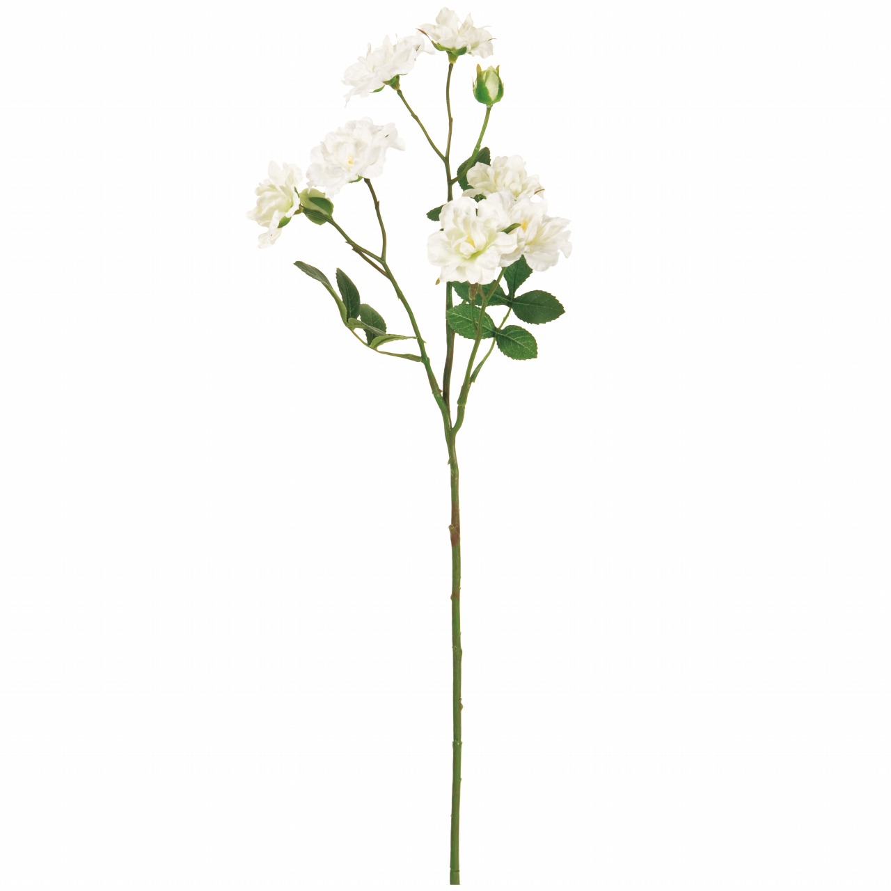 MAGIQ　バンクシアローズ　ホワイト　アーティフィシャルフラワー　造花　FM003841-001　バラ