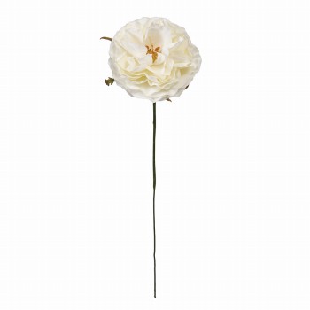 Winward　アミュゼオープンローズ　クリームホワイト　アーティフィシャルフラワー　造花　FW090180-001　バラ