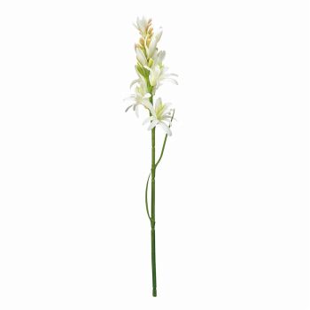 MAGIQ　ナチュールチューベローズ　ホワイトグリーン　アーティフィシャルフラワー　造花　その他　FM002515-001