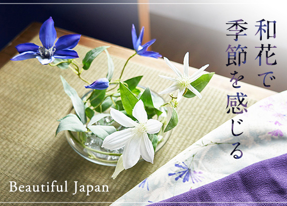 Beautiful Japan　和花で季節を感じる