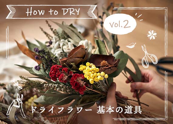 How to DRY Vol.2 - ドライフラワー 基本の道具 -