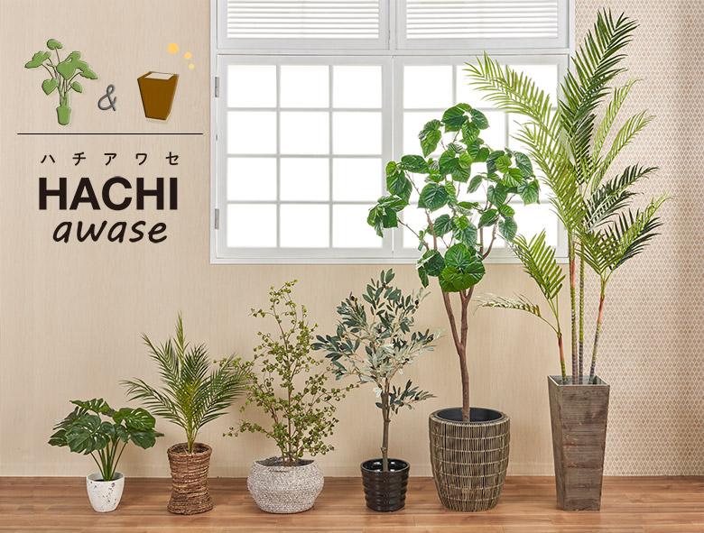 インテリアに合わせて着替えよう！観葉植物に合う鉢カバーのご提案。