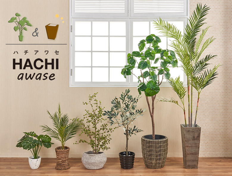 HACHI awase ～ 観葉植物＆鉢カバー ～