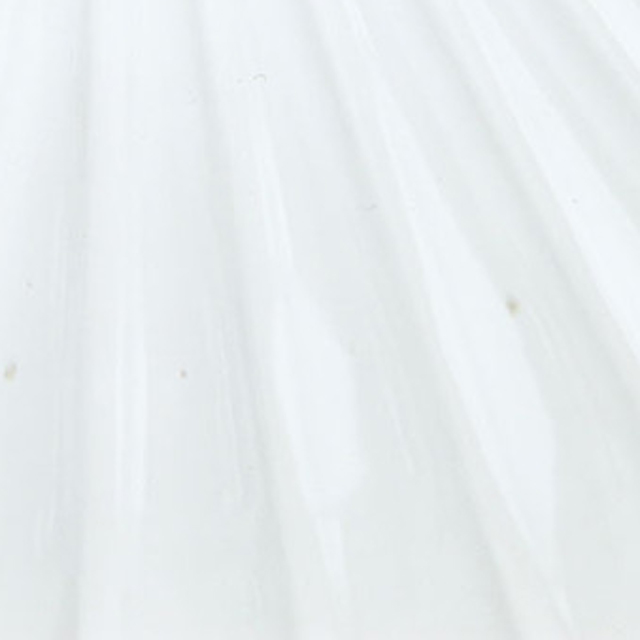 リンカ　ホワイト　花器　ベース　プレート　プラスチック　ND045572