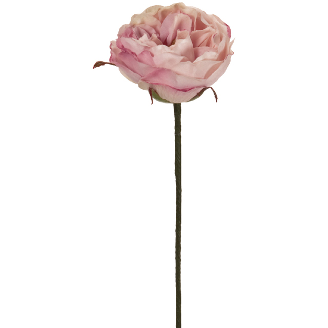 Winward　アミュゼミディローズ　クリームモーブ　アーティフィシャルフラワー　造花　FW090181-048　バラ