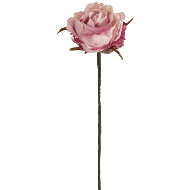 Winward　アミュゼプティローズ　クリームモーブ　アーティフィシャルフラワー　造花　FW090182-048　バラ