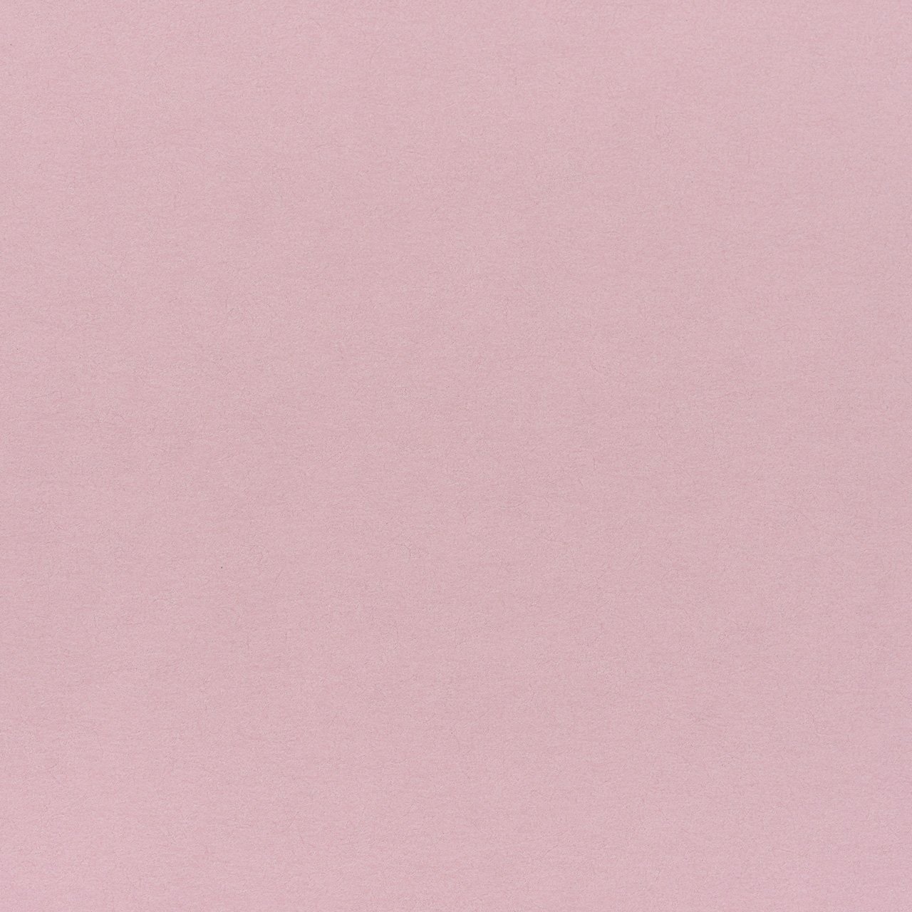 東京リボン　クレール　ミストピンク　1本　包装資材　ラッピング　不織布　ペーパー　RT068590-060