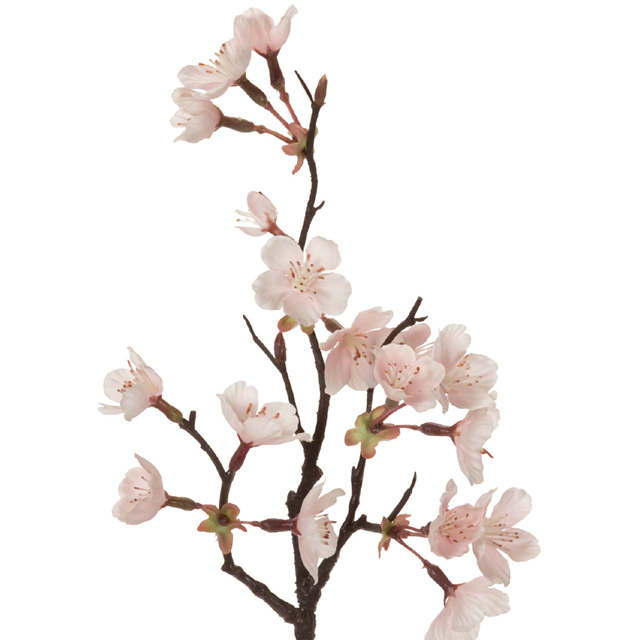 マイフラ 通販 Magiq 淡雪の桜 ミニ アーティフィシャルフラワー 造花 Fm サクラ 花径 約2 4 全長 約35cm ライトピンク Magiq アーティフィシャルフラワー 造花 全国にmagiq 花器 花資材などをお届けします