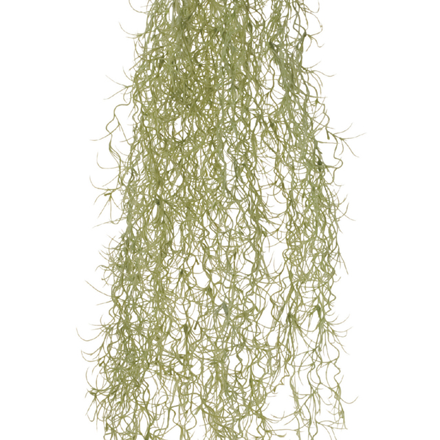MAGIQ　スパニッシュモス　グランデ　ライトグリーン　アーティフィシャルフラワー　造花　FG000627　エアプランツ