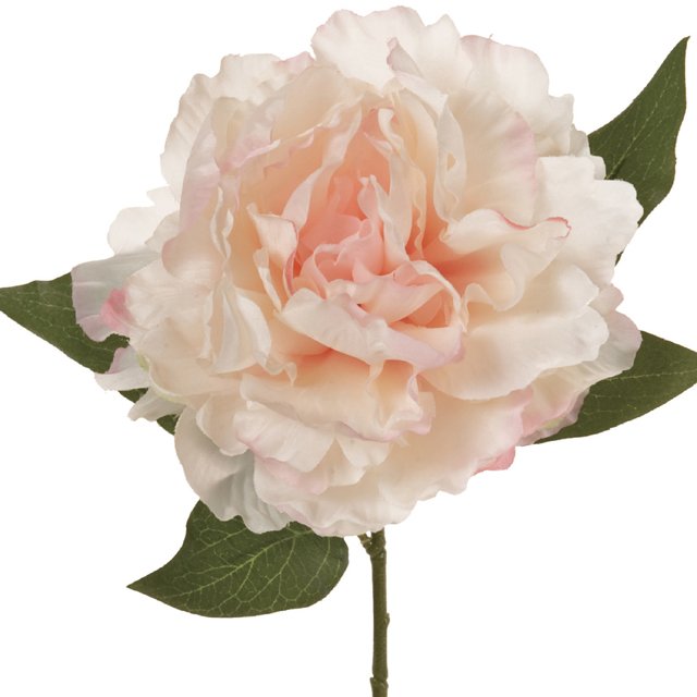 マイフラ 通販 Magiq プライマルピオニー クリームピンク アーティフィシャルフラワー 造花 Fm 046 クリームピンク Magiq アーティフィシャルフラワー 造花 全国にmagiq 花器 花資材などをお届けします