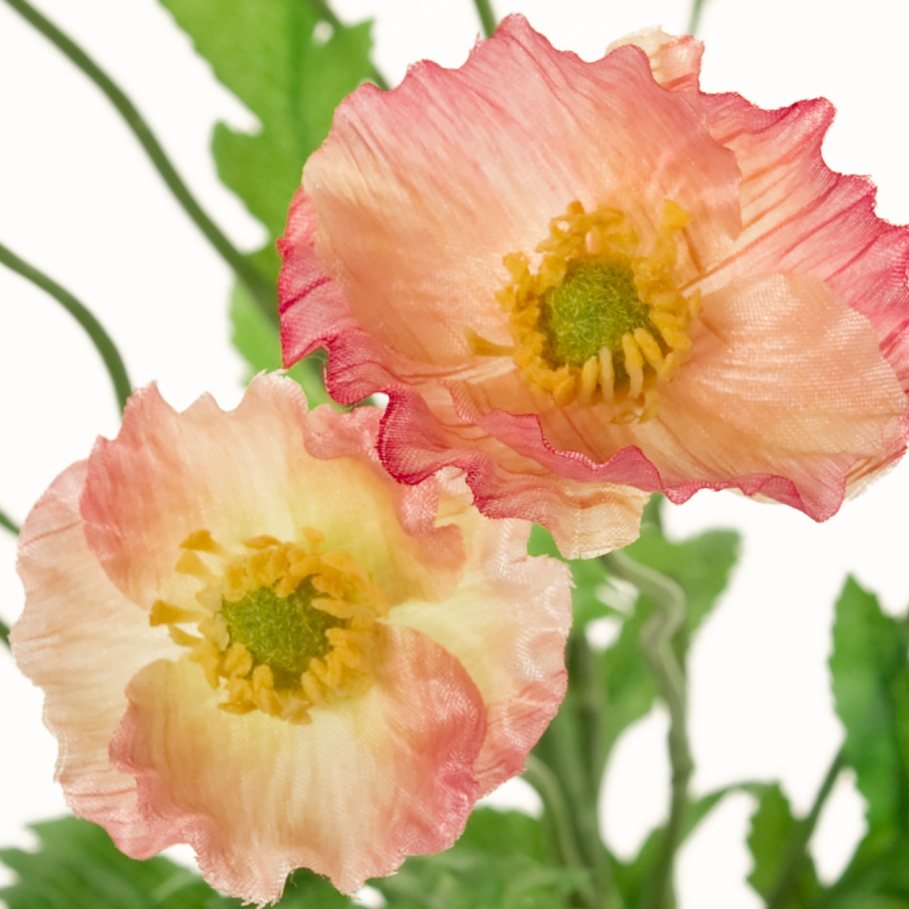 マイフラ 通販 Magiq ブルームポピー ブッシュ ピンク アーティフィシャルフラワー 造花 Fm 002 ポピー ピンク Magiq アーティフィシャルフラワー 造花 全国にmagiq 花器 花資材などをお届けします