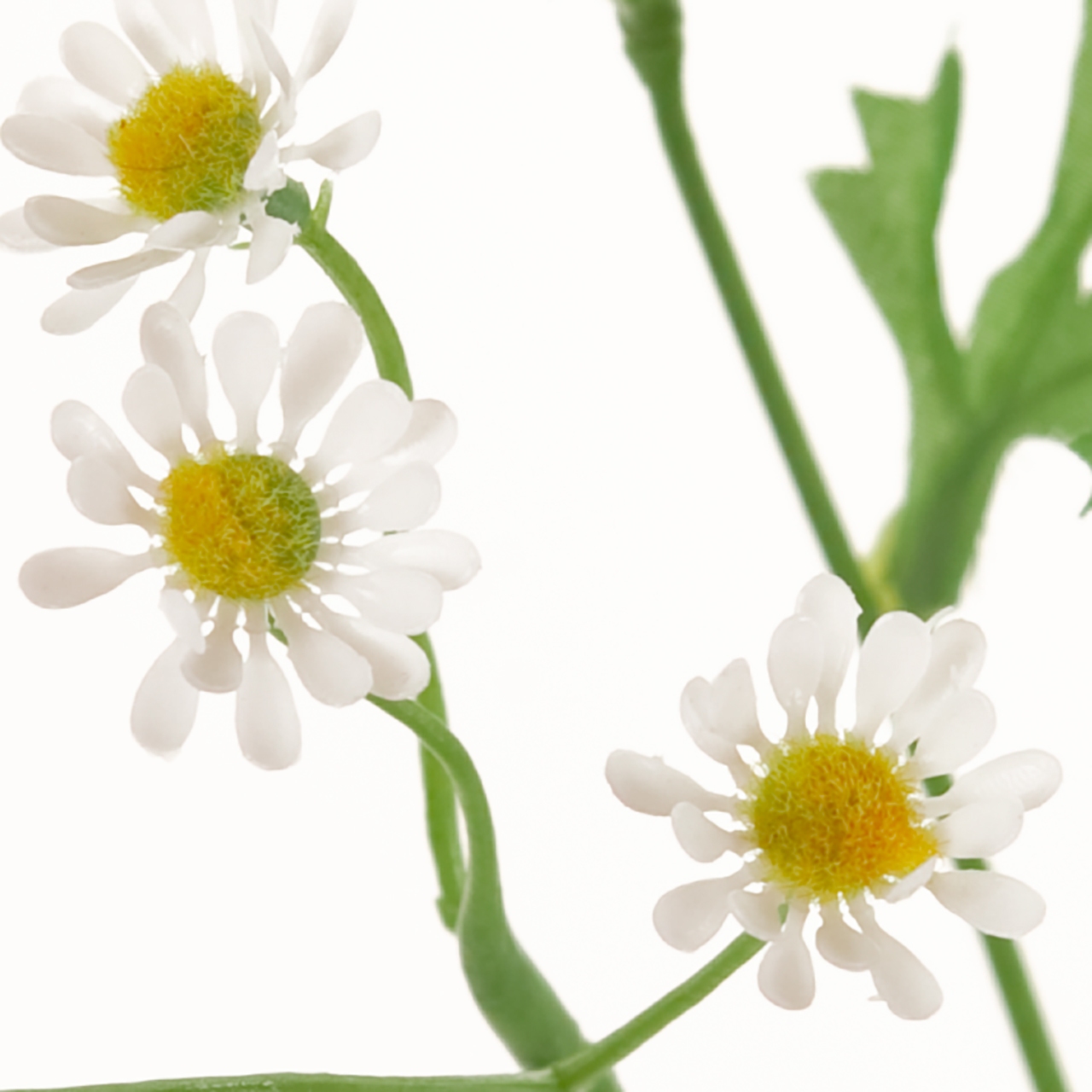 マイフラ 通販 Magiq プロヴァンスカモミール ホワイト アーティフィシャルフラワー 造花 Fm 花径 約2 全長 約53cm ホワイト Magiq アーティフィシャルフラワー 造花 全国にmagiq 花器 花資材などをお届けします