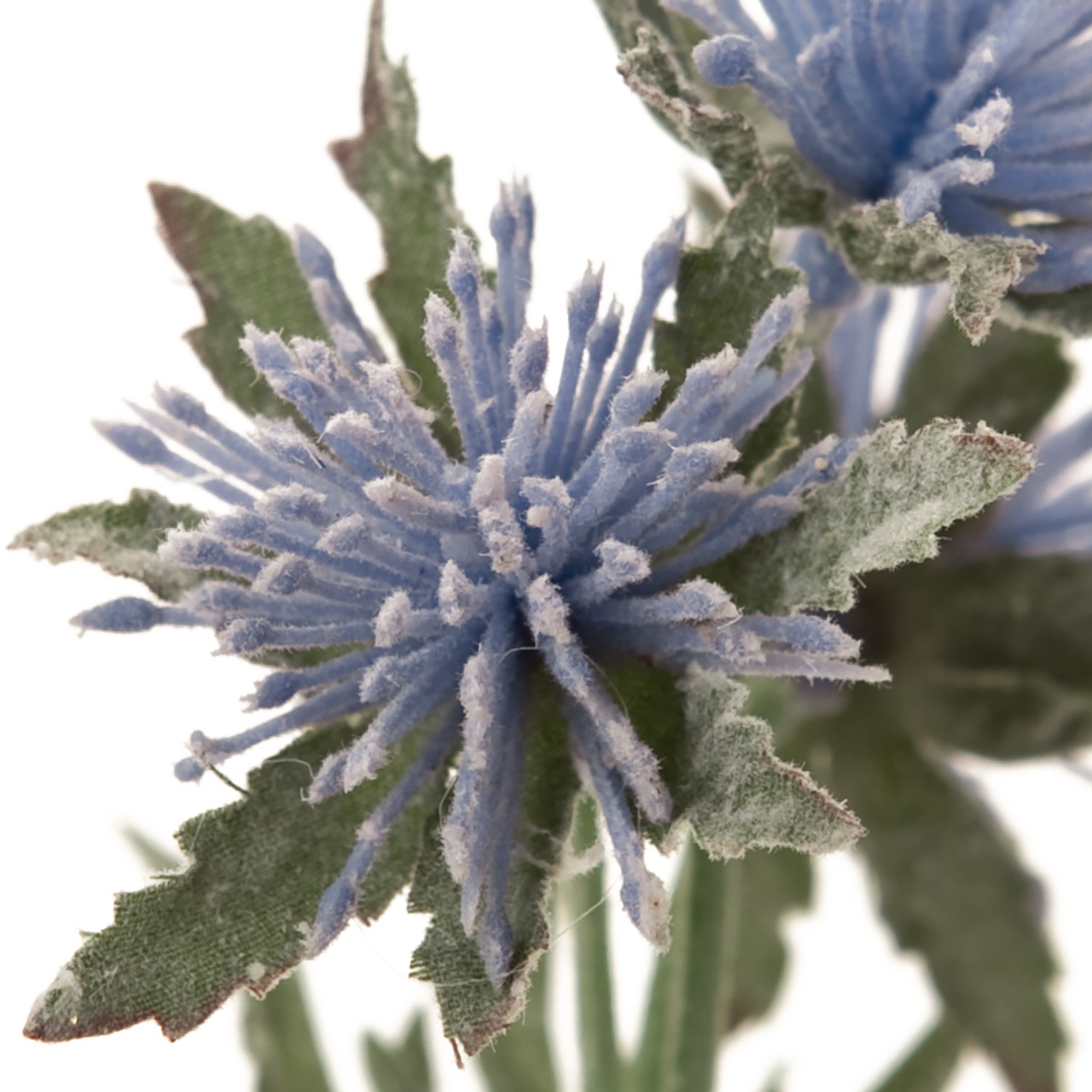 マイフラ 通販 Magiq マナエリンジウム バンドル ブルー アーティフィシャルフラワー 造花 Fm 1束 エリンジウム 花径 約4 全長 約30cm ブルー Magiq アーティフィシャルフラワー 造花 全国にmagiq 花器 花資材などをお届けします