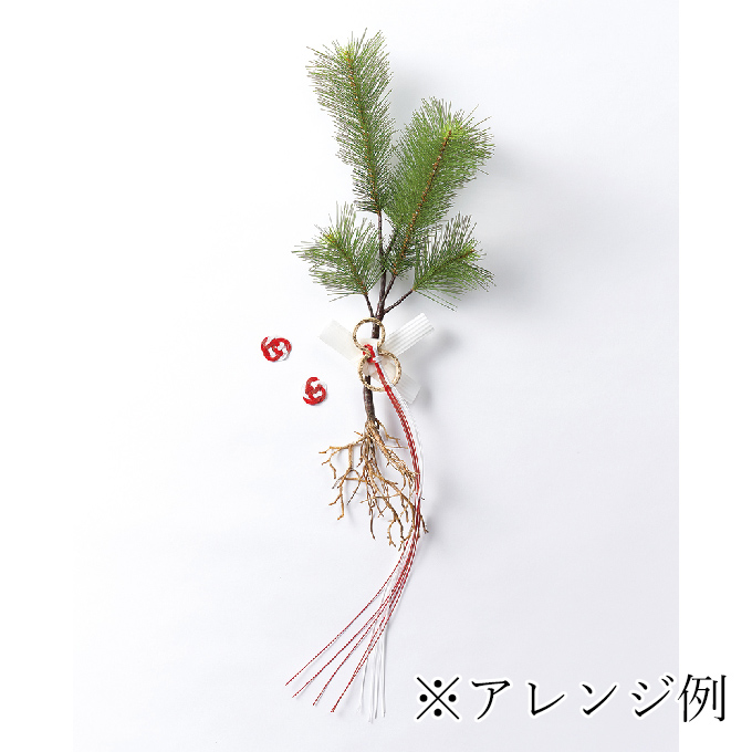 【完売品】MAGIQ　根引松　中　グリーン　アーティフィシャルフラワー　造花　お正月　JV002020　根引き松