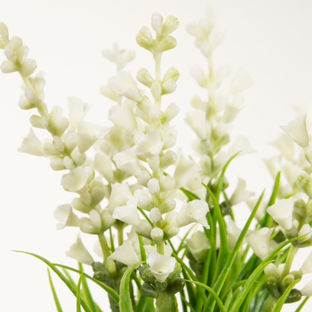 マイフラ 通販 Magiq ステラベロニカピック ホワイト アーティフィシャルフラワー 造花 Fm002373 001 ベロニカ ホワイト Magiq アーティフィシャルフラワー 造花 全国にmagiq 花器 花資材などをお届けします