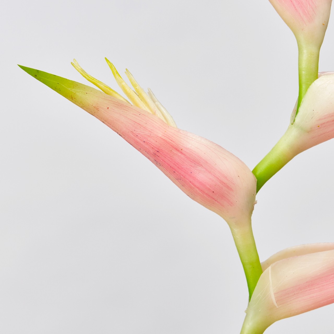 MAGIQ　サザンヘリコニア　ライトピンク　アーティフィシャルフラワー　造花　FM001254-002　トロピカルフラワー
