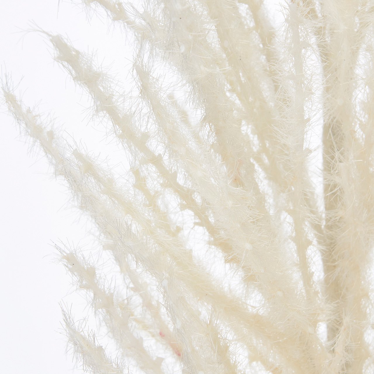 MAGIQ　スレッドパンパス　クリーム　アーティフィシャルフラワー　造花　すすき　パンパス　FM004420-001【スペシャルプライス】