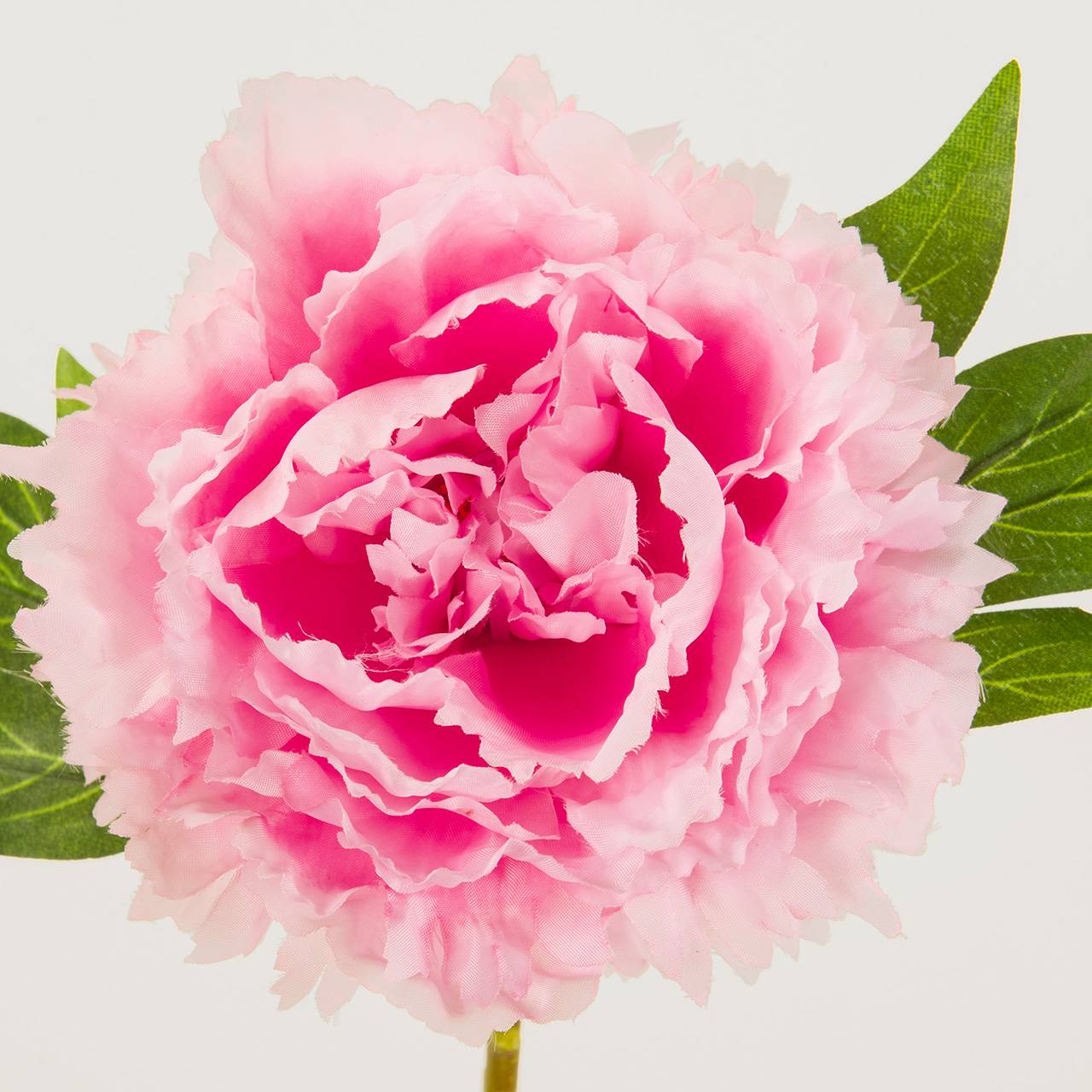 マイフラ 通販 Magiq 小春牡丹 ピンク アーティフィシャルフラワー 造花 Fm 002 ピオニー 牡丹 ピンク Magiq アーティフィシャルフラワー 造花 全国にmagiq 花器 花資材などをお届けします
