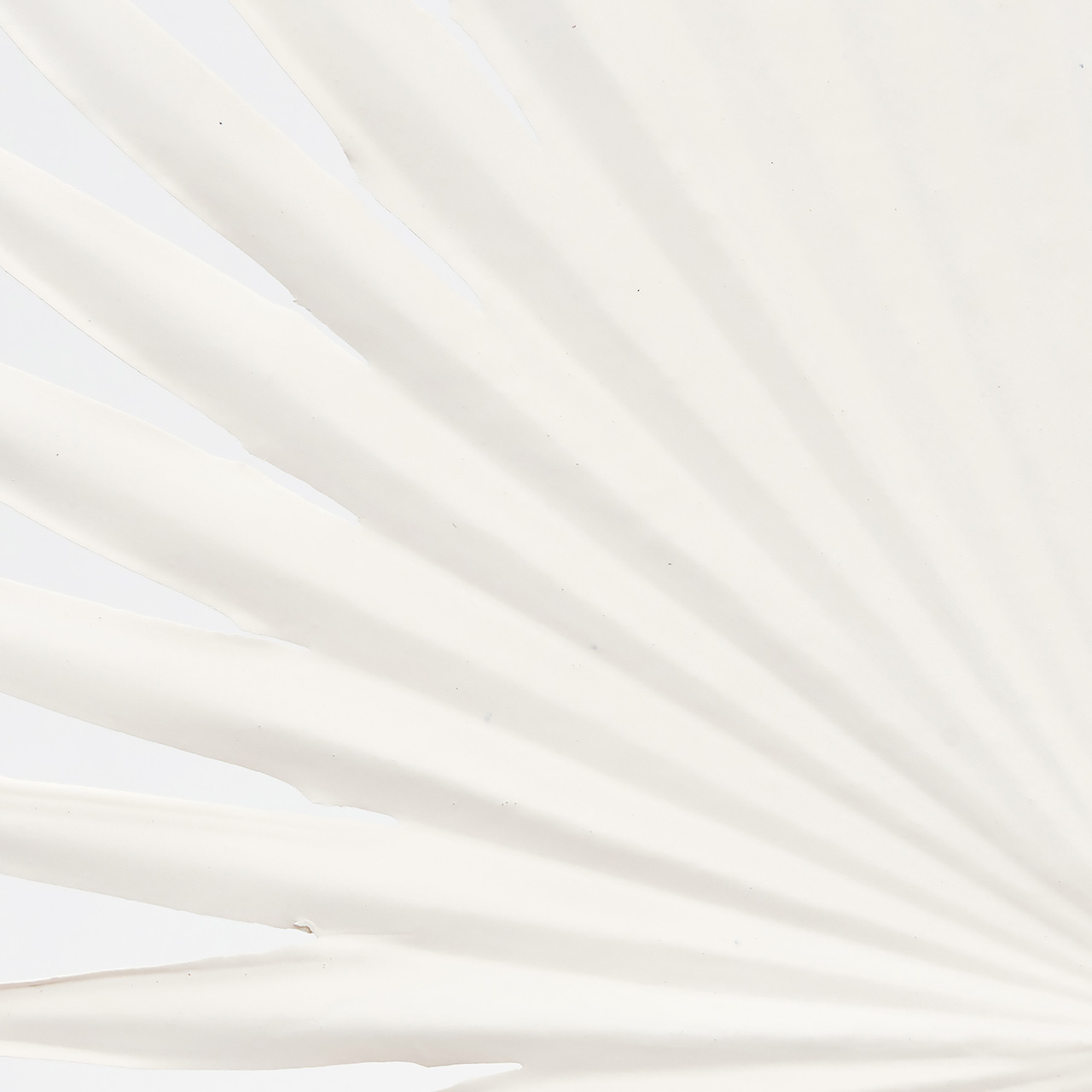 MAGIQ　グレジュリーファンパームリーフ　ホワイト　アーティフィシャルフラワー　造花　リーフ　パームリーフ　トロピカルリーフ　FG002022-001