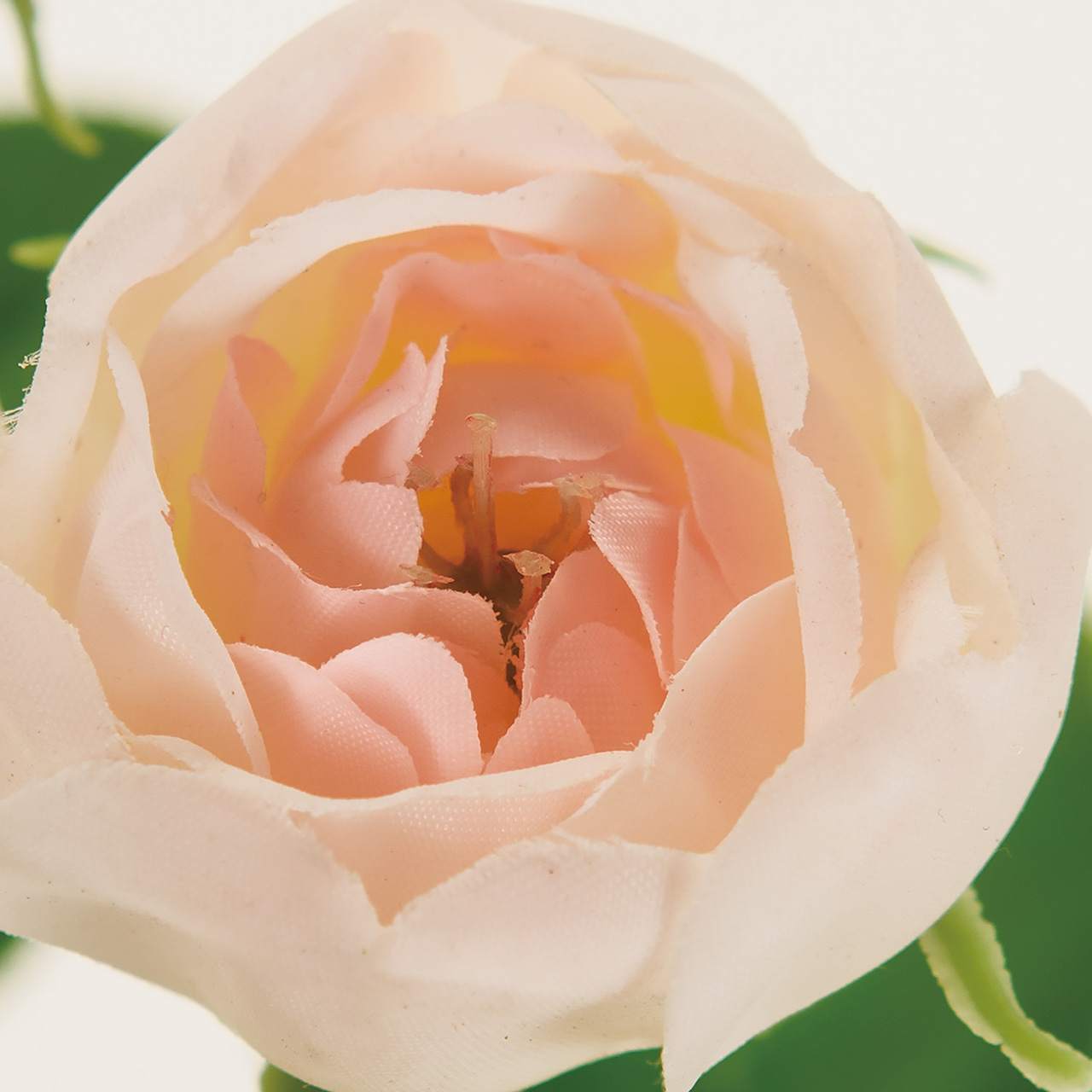 MAGIQ　ハートウォームローズ　ホワイト／ピンク　アーティフィシャルフラワー　造花　FM008380-002　ローズ　バラ
