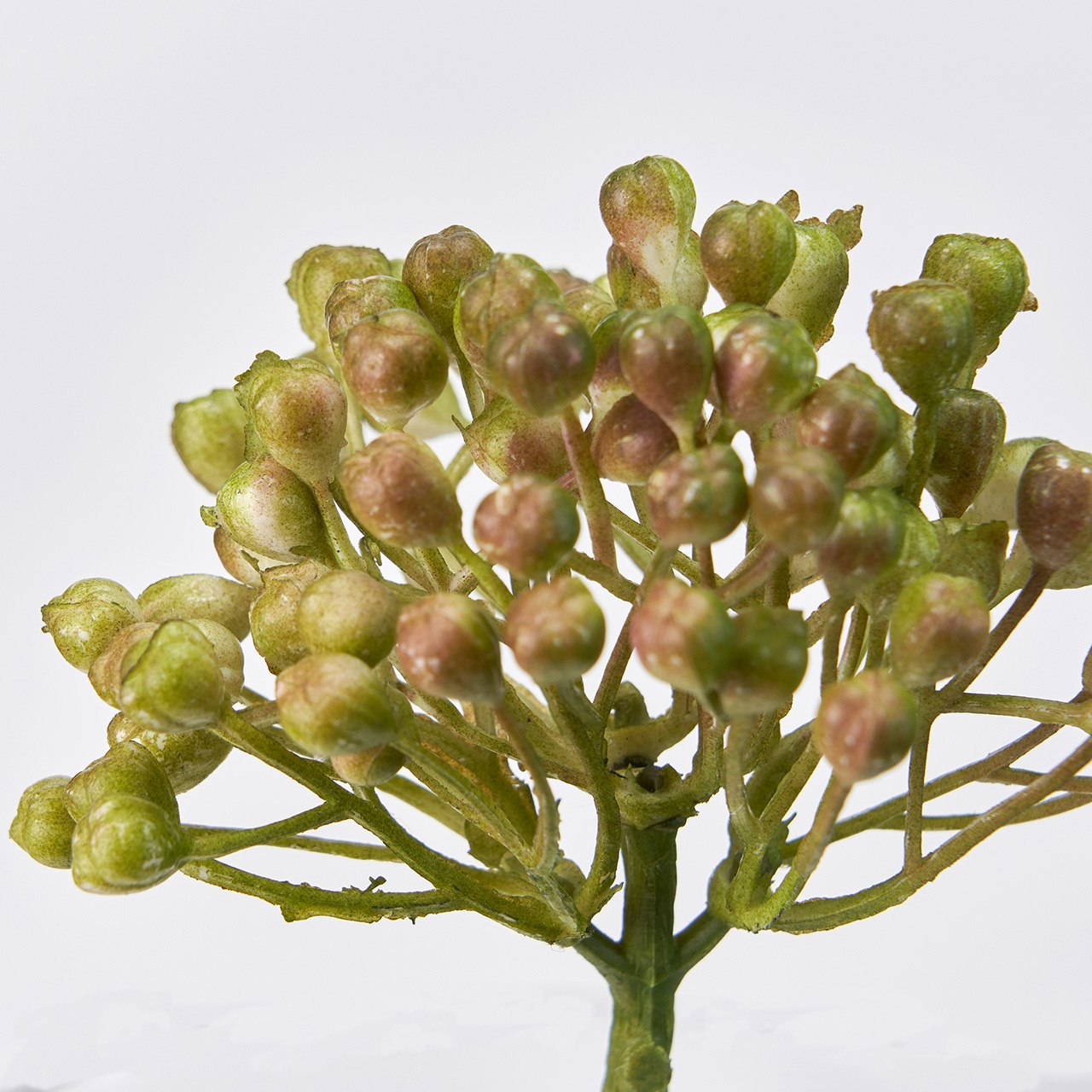 MAGIQ　グレインベリー　ライトグリーン　アーティフィシャルフラワー　造花　実もの　ベリー　FM004812-023