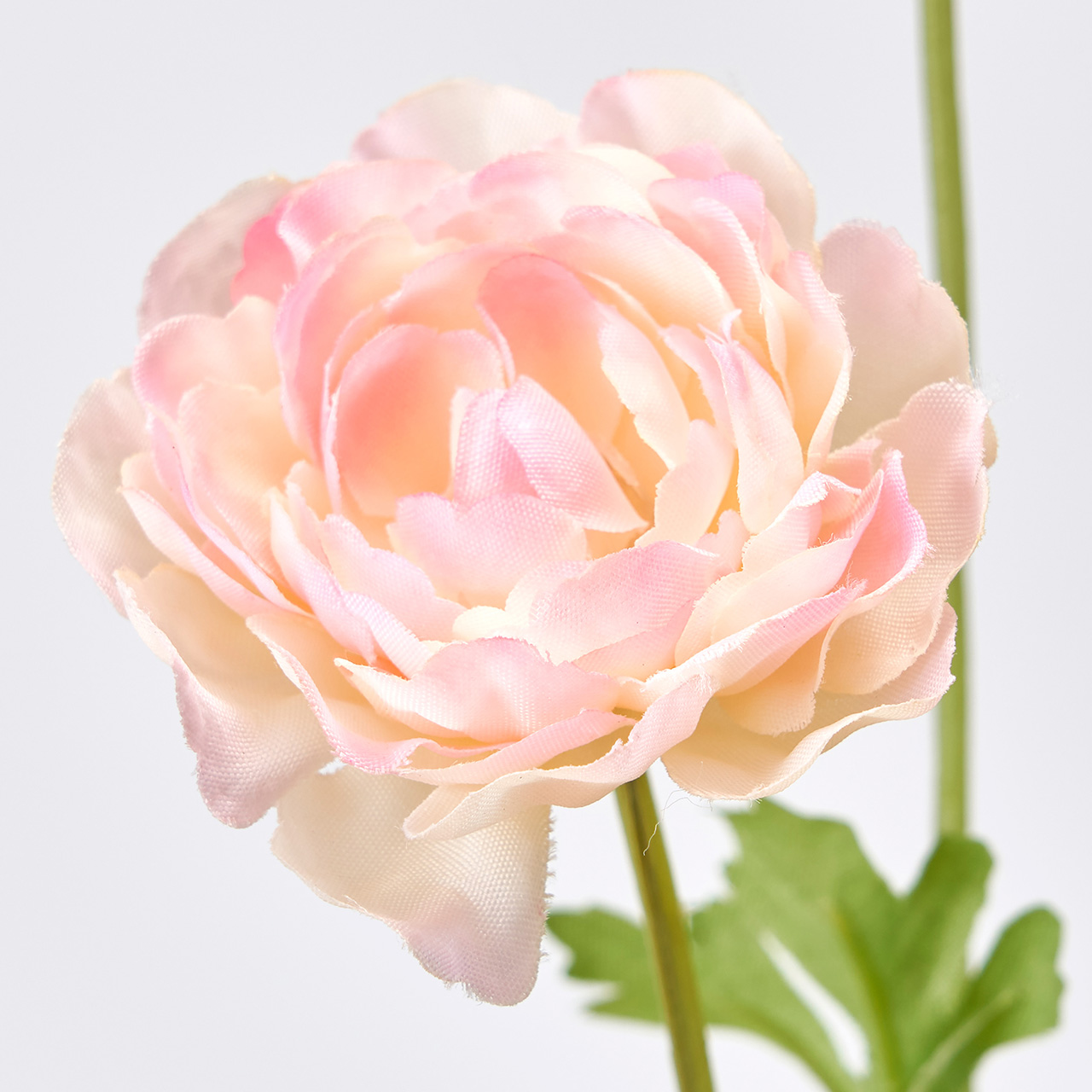 MAGIQ　サリューラナンキュラス　クリームピンク　アーティフィシャルフラワー　造花　ラナンキュラス　FM000977-002