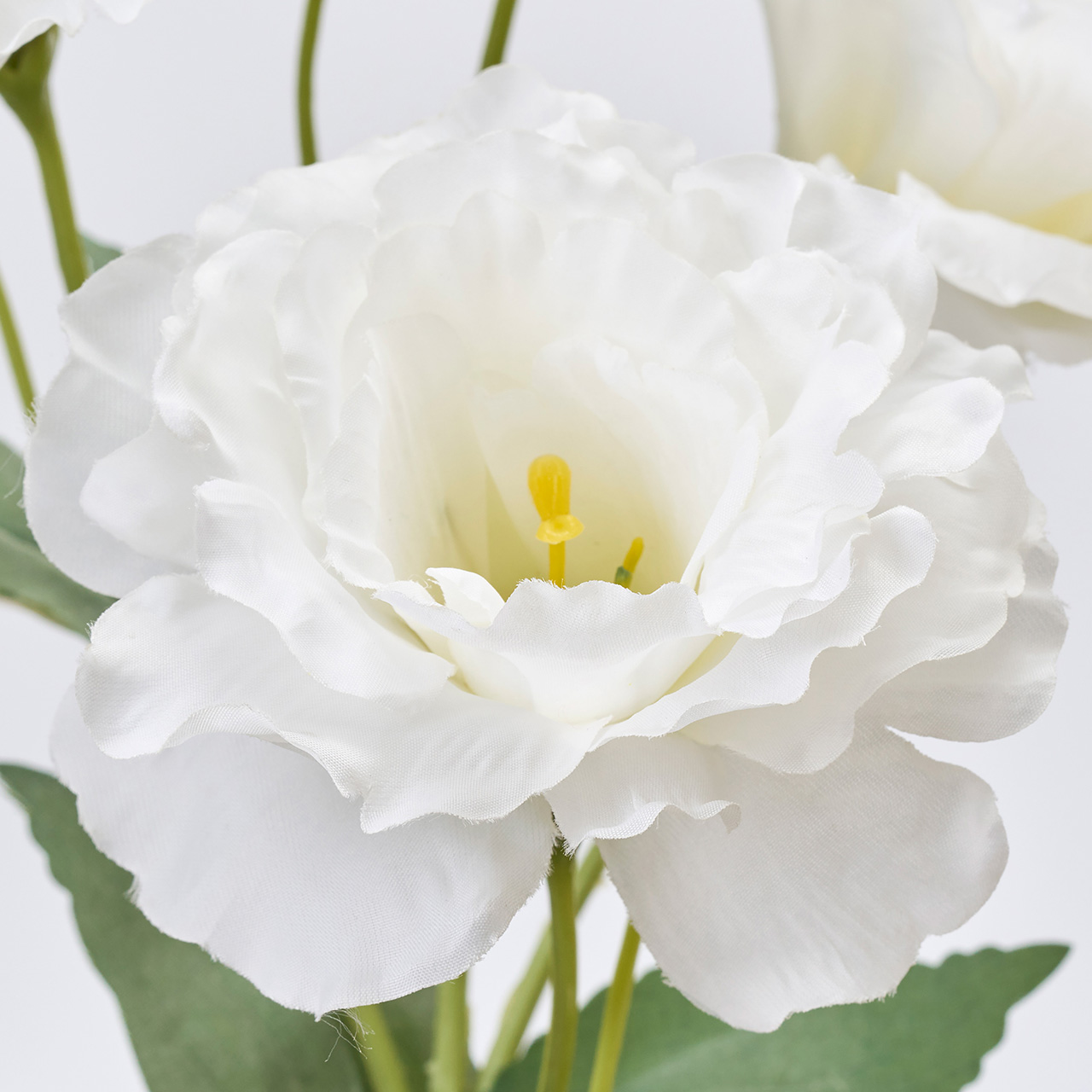マイフラ 通販 Magiq マリアリシアンサス ホワイト アーティフィシャルフラワー 造花 リシアンサス トルコキキョウ Fm0035 001 ホワイト Magiq アーティフィシャルフラワー 造花 全国にmagiq 花器 花資材などをお届けします