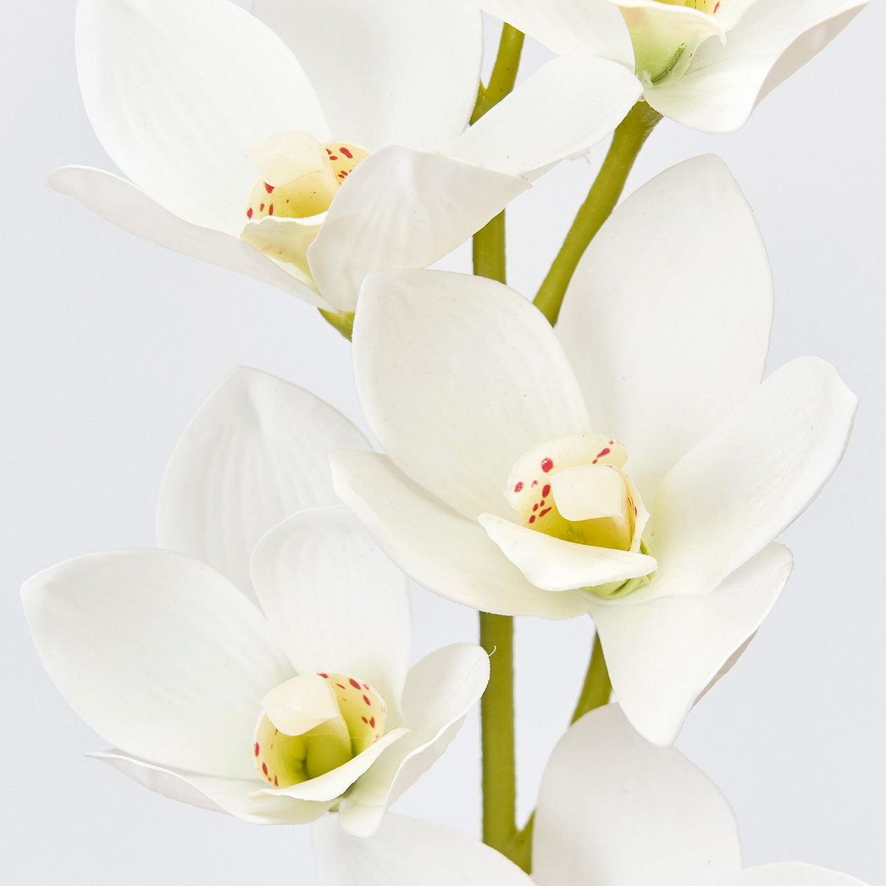 MAGIQ　ブライトシンビジウム　ホワイト　アーティフィシャルフラワー　造花　オーキッド　蘭　FM001108-001