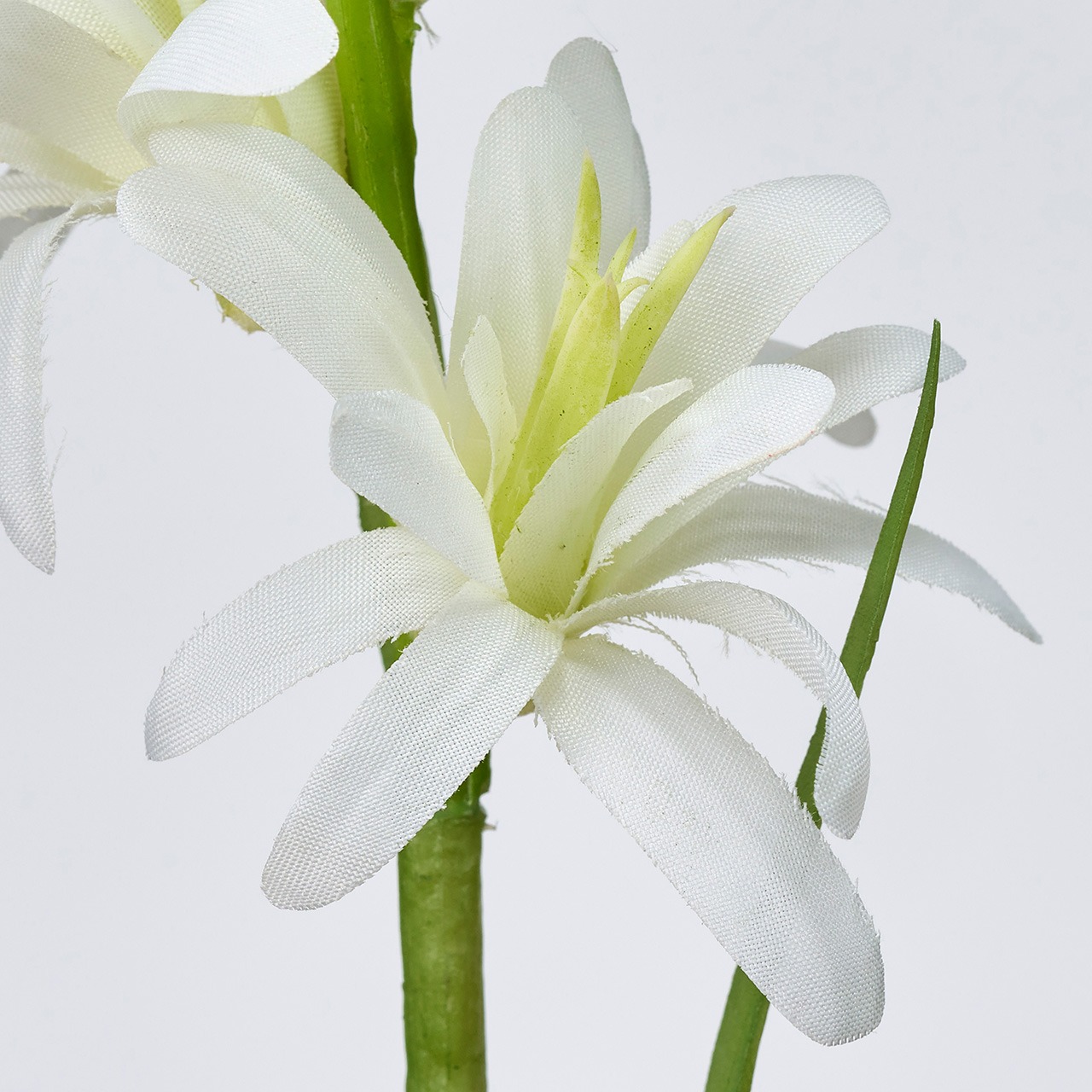 MAGIQ　ナチュールチューベローズ　ホワイトグリーン　アーティフィシャルフラワー　造花　その他　FM002515-001