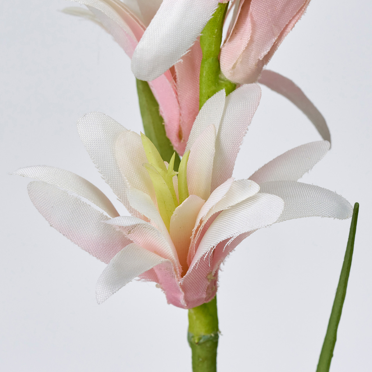 MAGIQ　ナチュールチューベローズ　ホワイト／ピンク　アーティフィシャルフラワー　造花　その他　FM002515-002