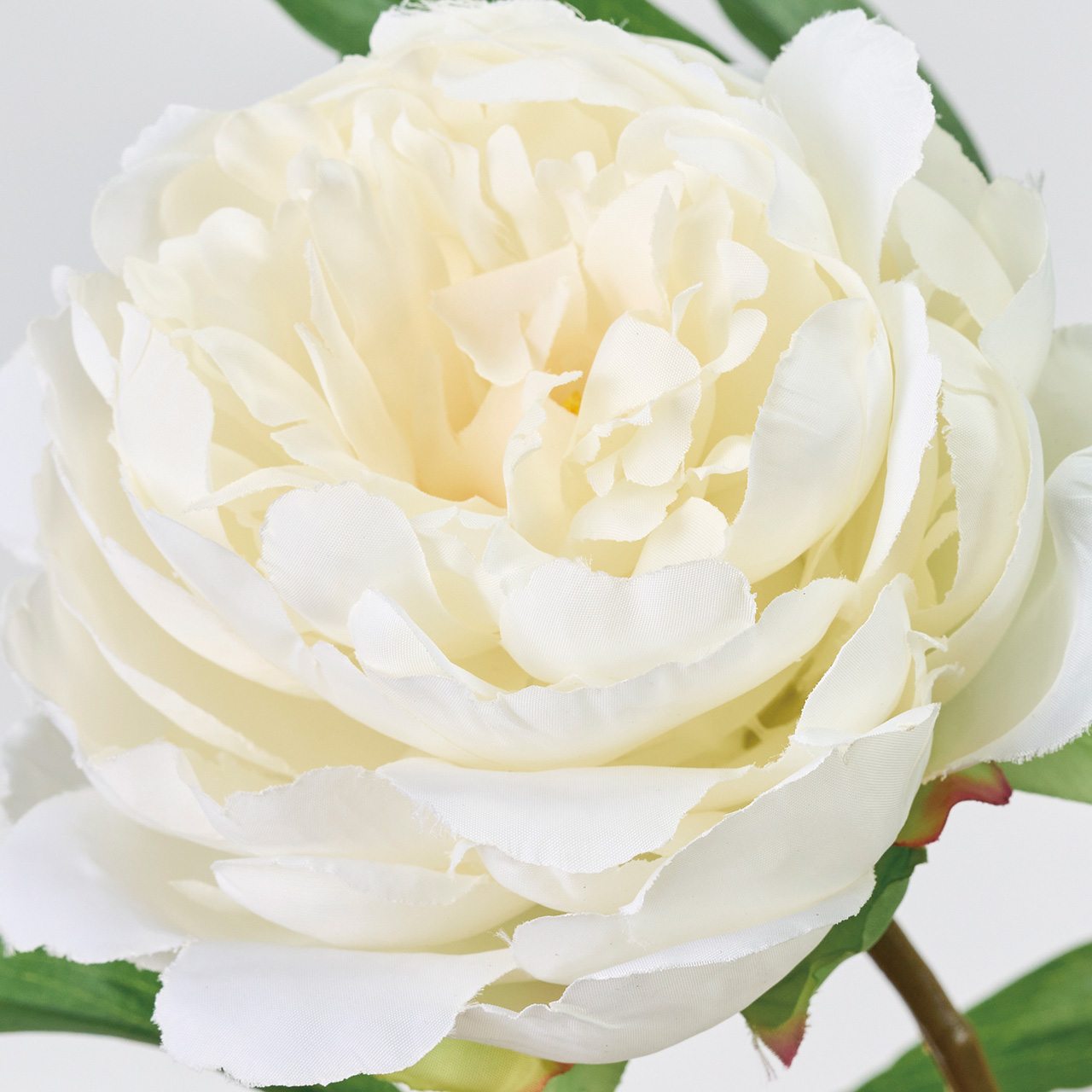 MAGIQ　アントワープピオニー　ホワイト　アーティフィシャルフラワー　造花　ピオニー　牡丹　FM003604-001