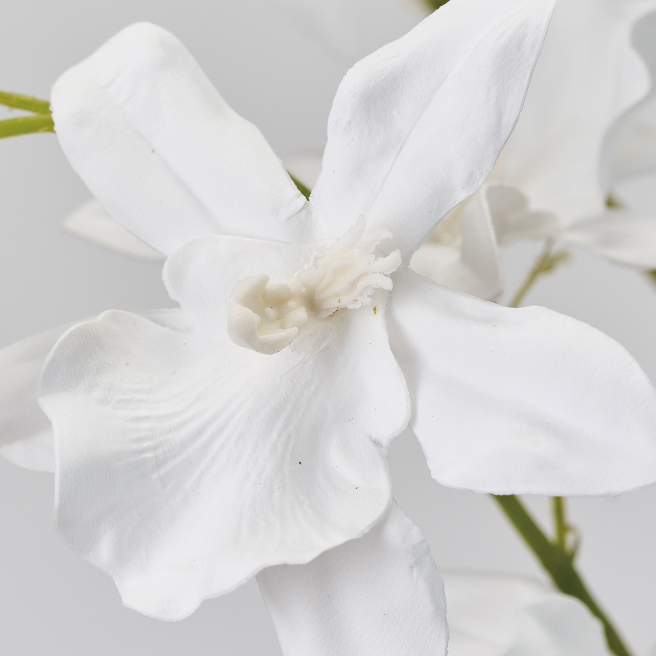 Winward　ピュオーラオーキッド　ホワイト　アーティフィシャルフラワー　造花　オーキッド　蘭　FW090343