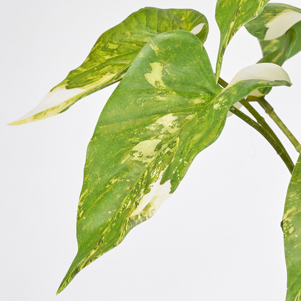 MAGIQ　シンゴニューム斑入ポット　グリーン　アーティフィシャルフラワー　造花　インテリアグリーン　観葉植物　フェイクグリーン　FG000175