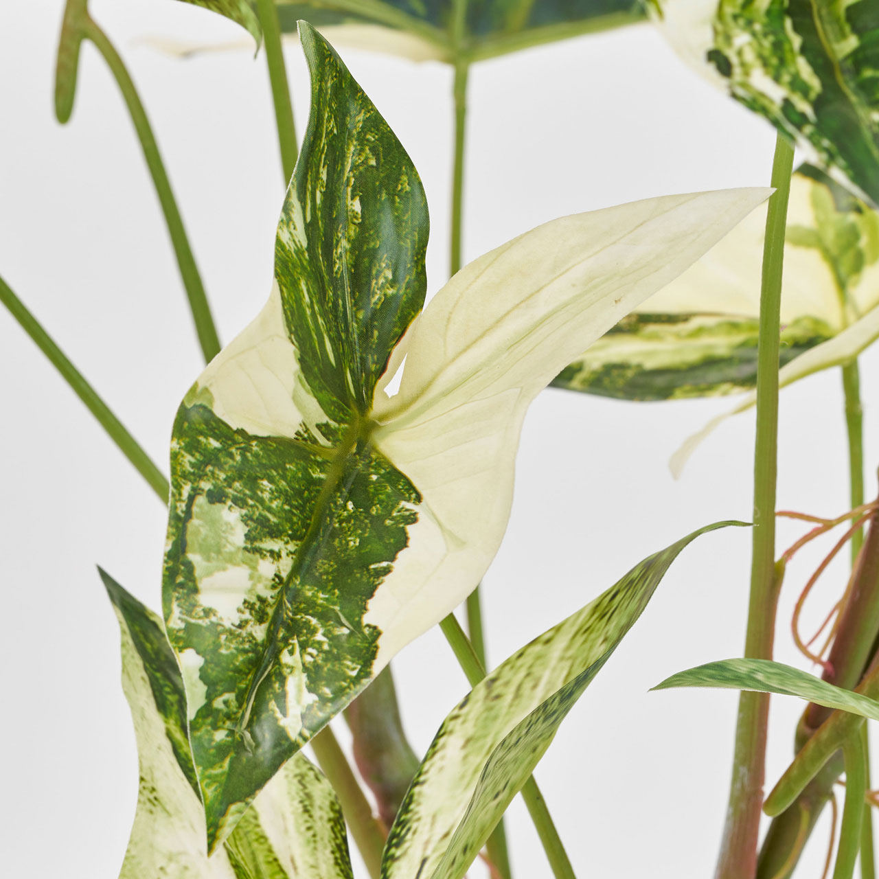 MAGIQ　アロカシア斑入ポット　グリーン　アーティフィシャルフラワー　造花　インテリアグリーン　観葉植物　フェイクグリーン　FZ000770