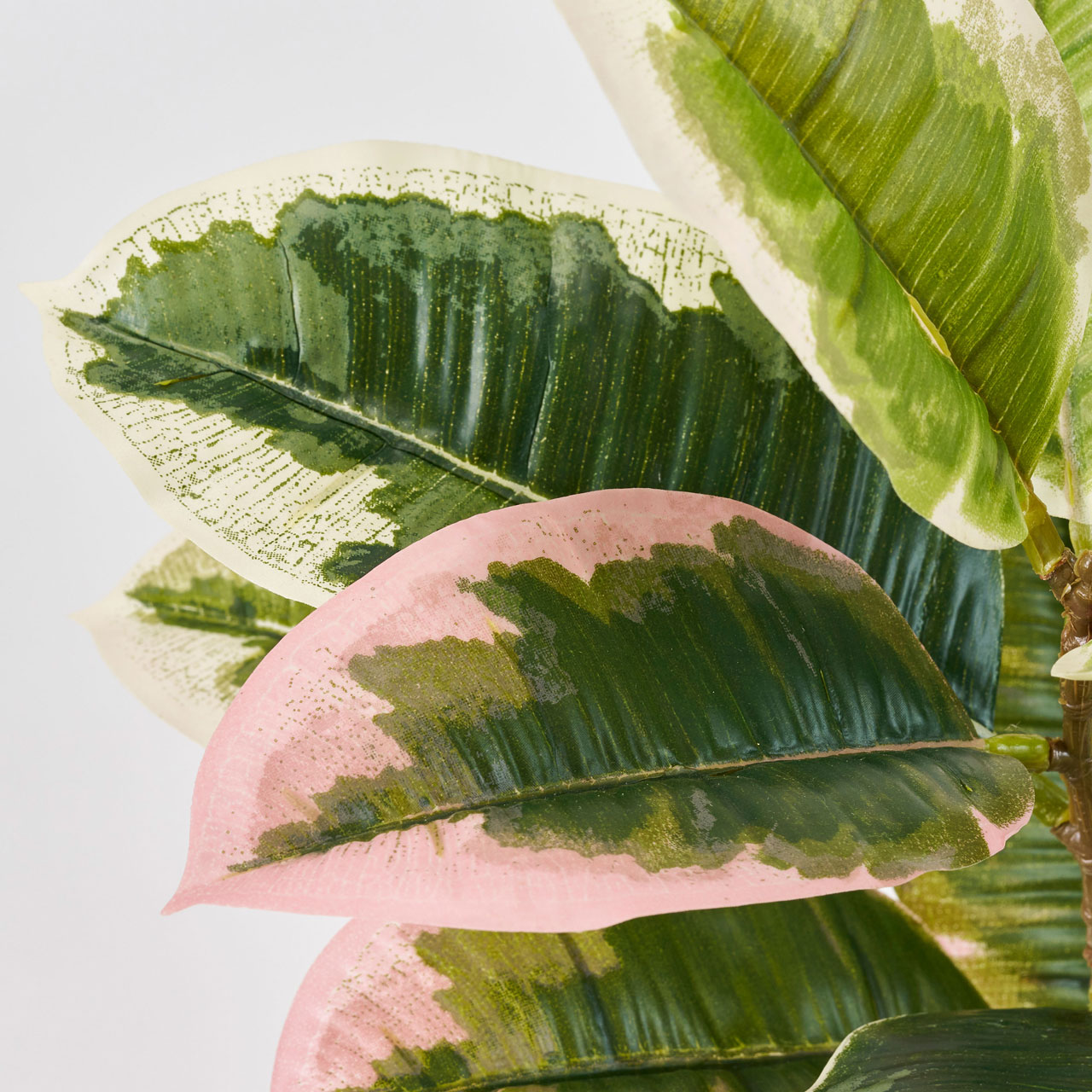 MAGIQ　ゴムの木斑入ミニポット　グリーン　アーティフィシャルフラワー　造花　インテリアグリーン　観葉植物　フェイクグリーン　FG001816
