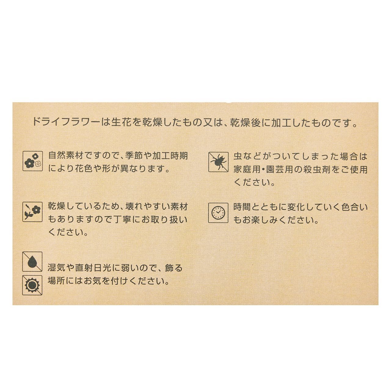 東京堂オリジナル　ドライフラワーカード　包装資材　20枚入　ZS000040