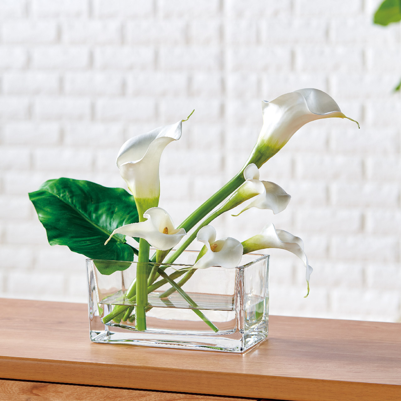 マイフラ】 通販/Winward ヴィンセントカラー M ホワイト アーティフィシャルフラワー 造花 FW099052-001 カラー(ホワイト):  MAGIQ(アーティフィシャルフラワー 造花)/全国にMAGIQ、花器、花資材などをお届けします。