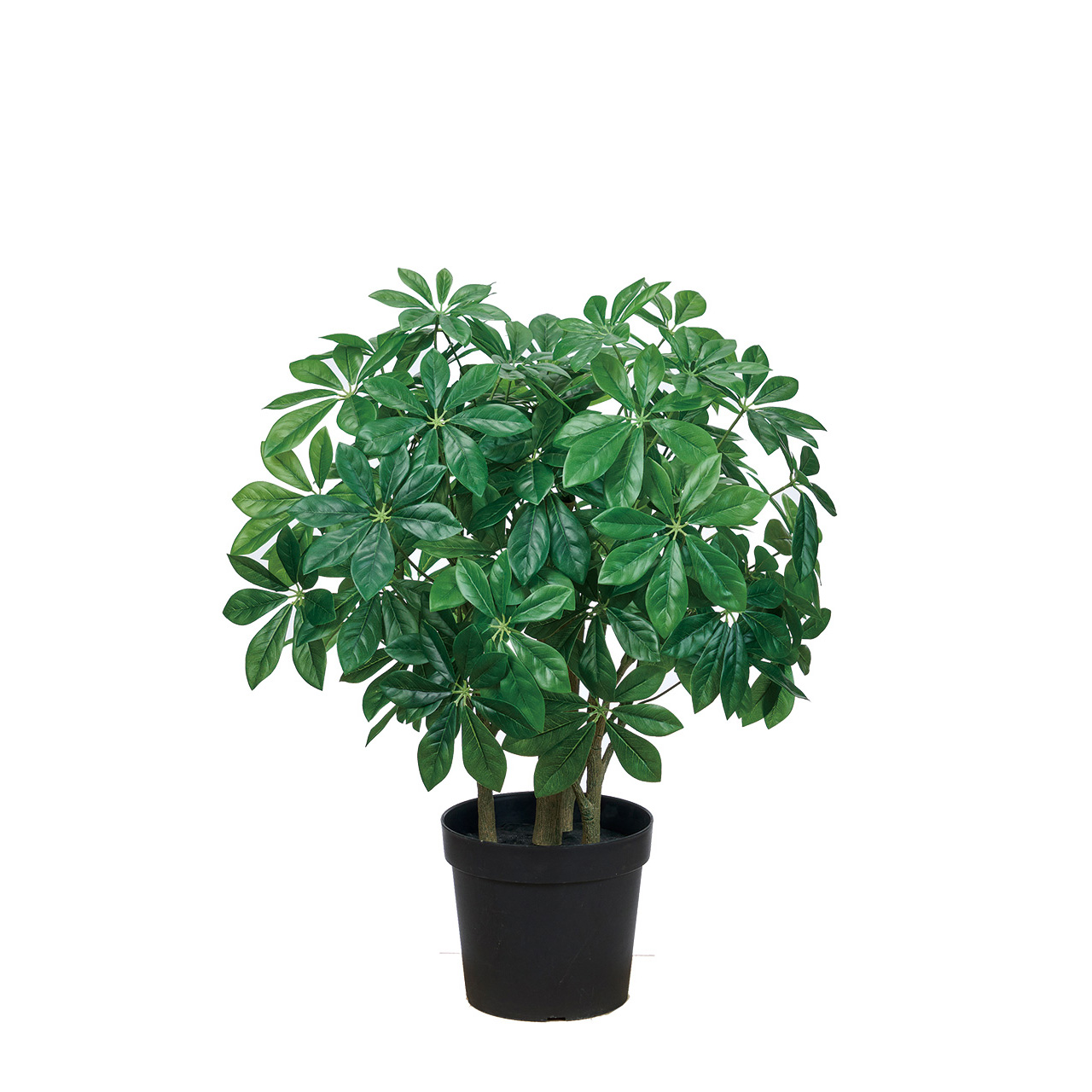 MAGIQ　シェフレラポット3WAY　1鉢　観葉植物　組み立て式・3スタイルチェンジ　インテリアグリーン　フェイクグリーン　FG000779