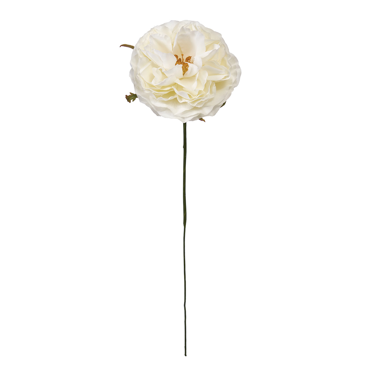 Winward　アミュゼオープンローズ　クリームホワイト　アーティフィシャルフラワー　造花　FW090180-001　バラ