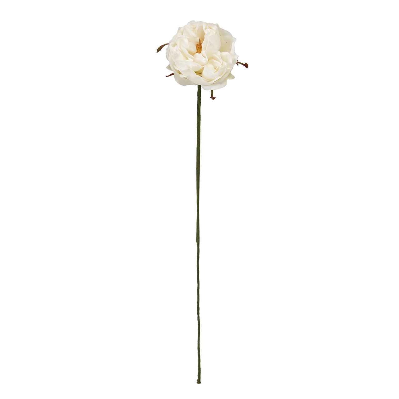 Winward　アミュゼミディローズ　クリームホワイト　アーティフィシャルフラワー　造花　FW090181-001　バラ