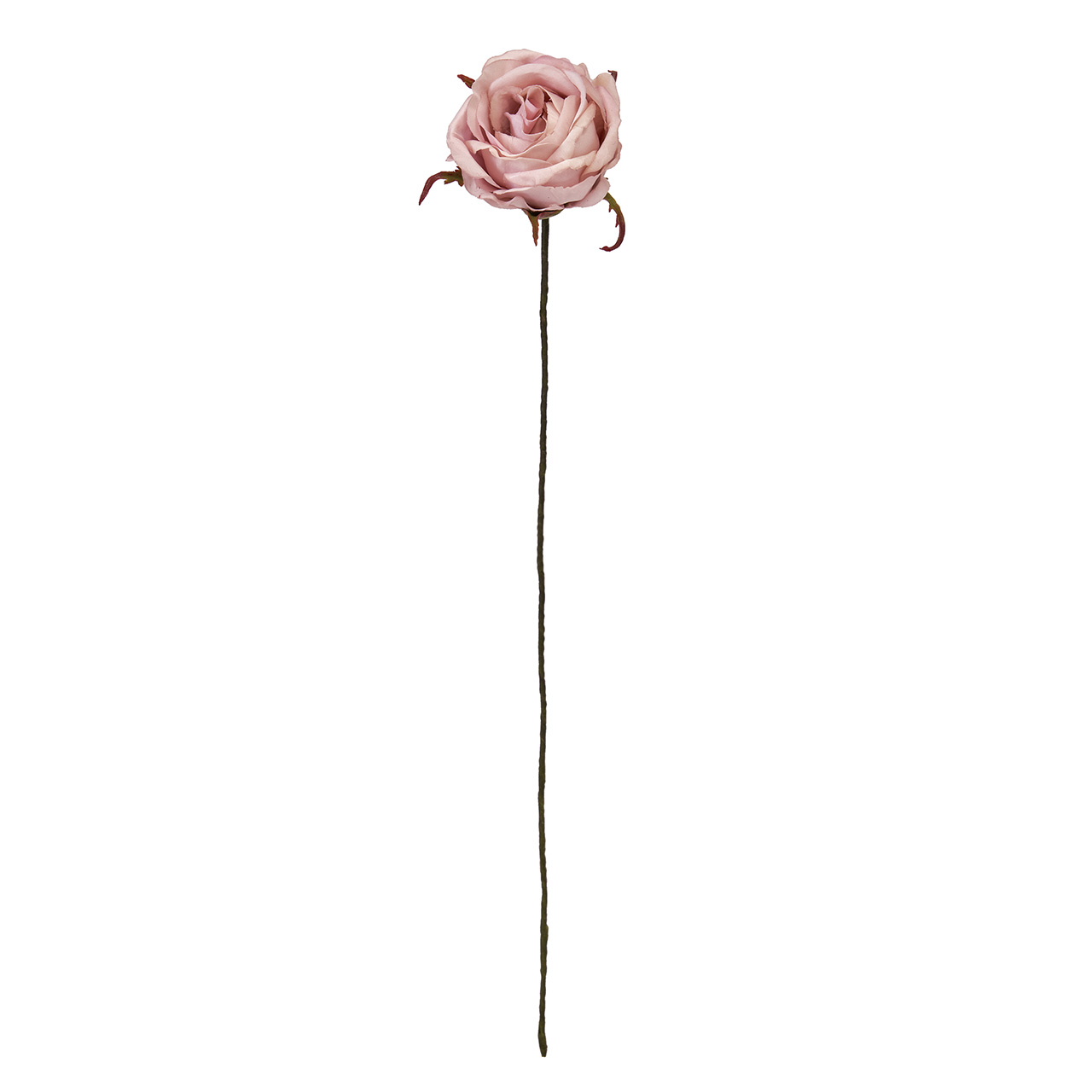 Winward　アミュゼプティローズ　ラベンダー　アーティフィシャルフラワー　造花　FW090182-011　バラ