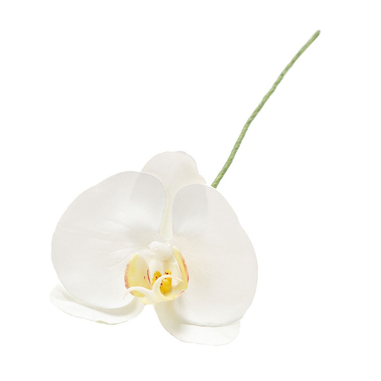 Winward　アミュゼ ファレノ　ホワイト　アーティフィシャルフラワー　造花　FW090184-001　胡蝶蘭