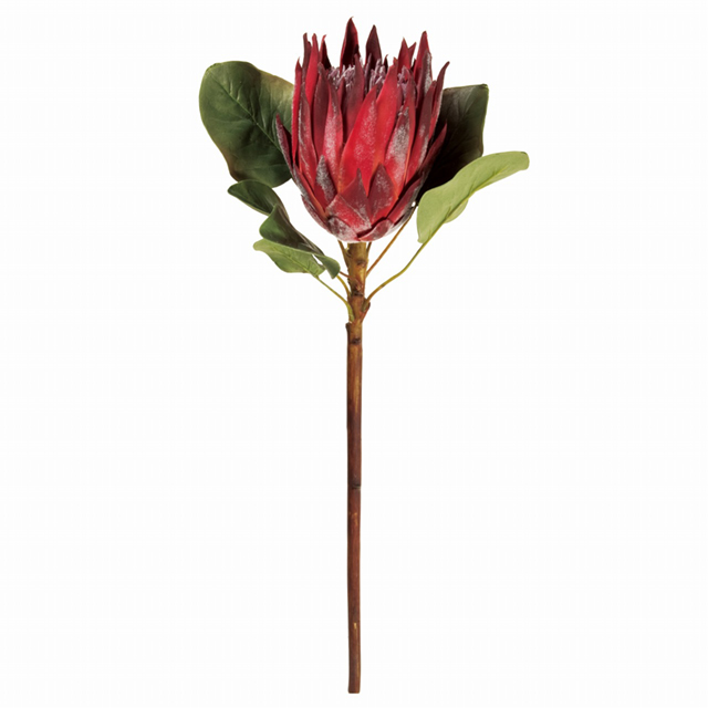 Winward　キングプロテア　バーガンディ　アーティフィシャルフラワー　造花　FW045270-007　ワイルドフラワー