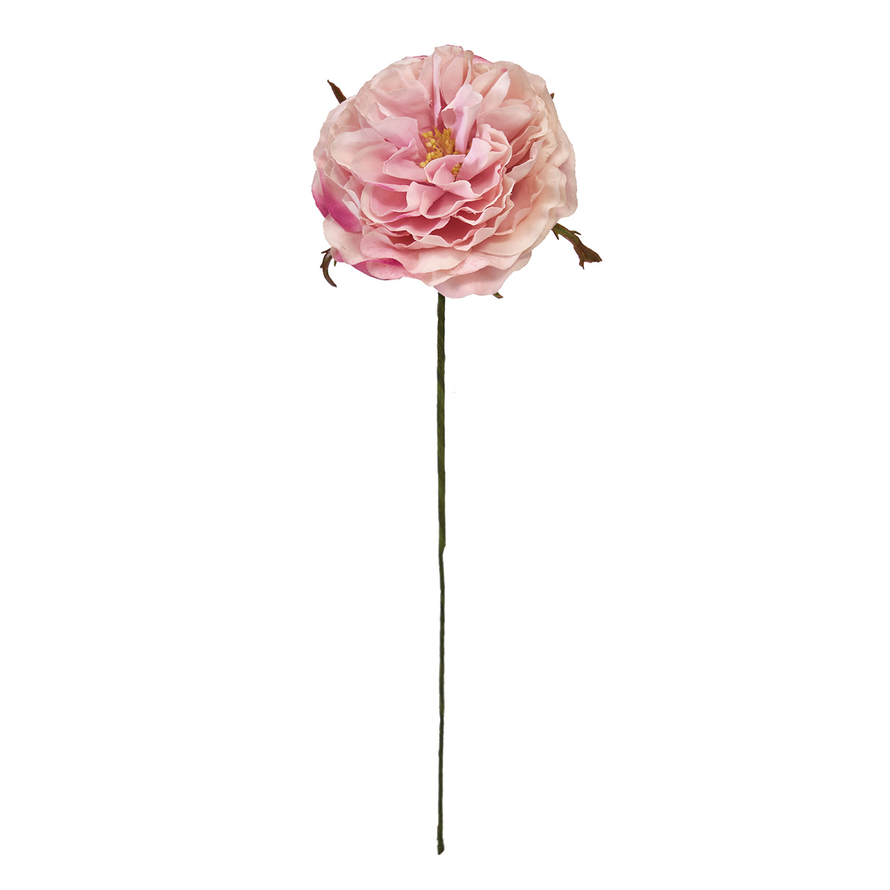 Winward　アミュゼオープンローズ　クリームモーブ　アーティフィシャルフラワー　造花　FW090180-048　バラ