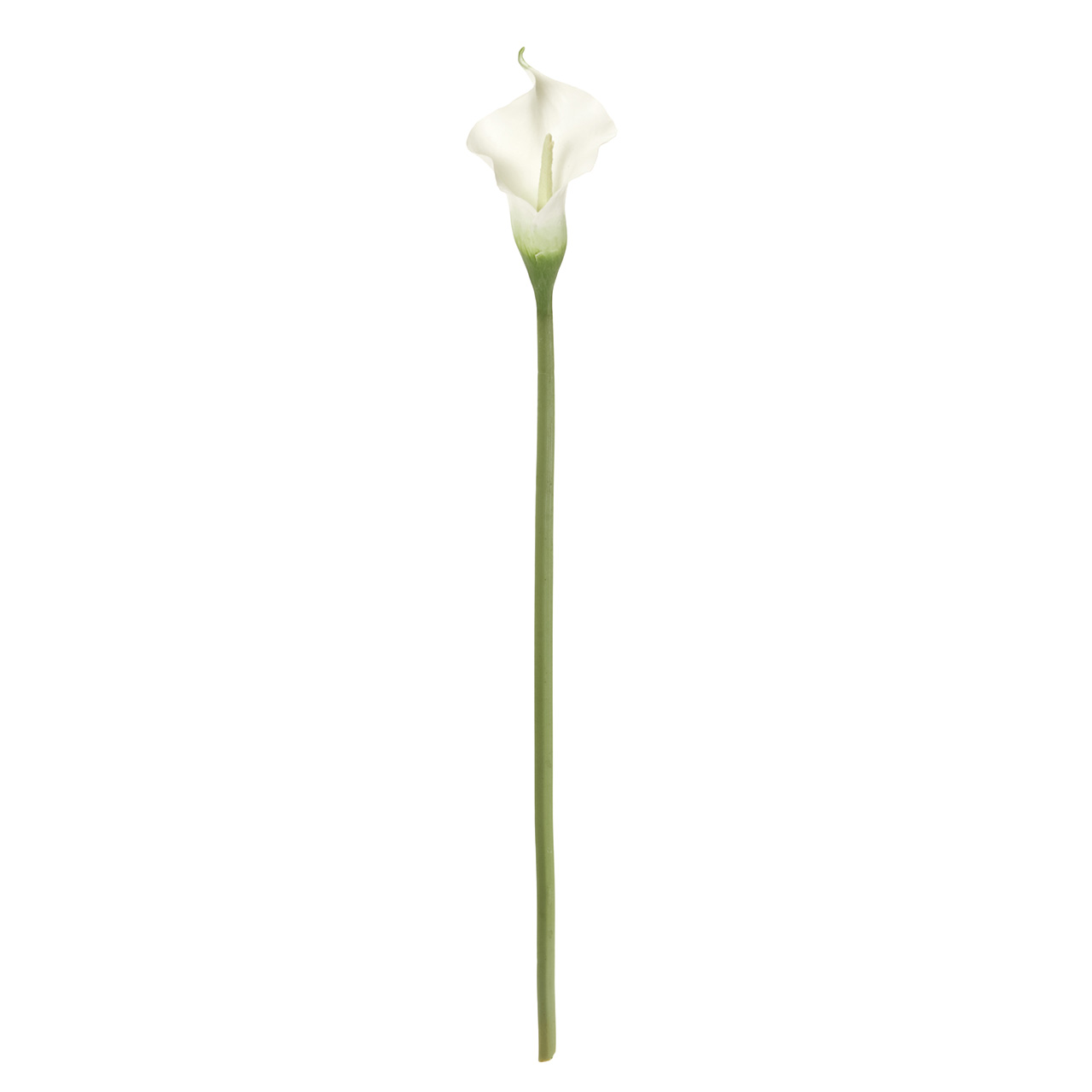 Winward　フェルメールカラー M　ホワイト　アーティフィシャルフラワー　造花　FW018380-001　カラー