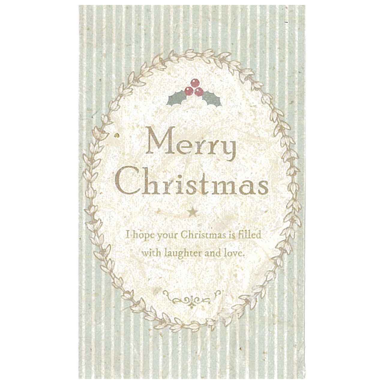 ソラペーパーメッセージカード　クリスマスヒイラギ　ブルー　ラッピング　10枚入　カード　名刺サイズ　YP142919