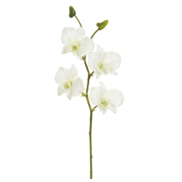 マイフラ 通販 Magiq フレッシュデンファレ ホワイト アーティフィシャルフラワー 造花 Fm 001 蘭 ホワイト Magiq アーティフィシャルフラワー 造花 全国にmagiq 花器 花資材などをお届けします