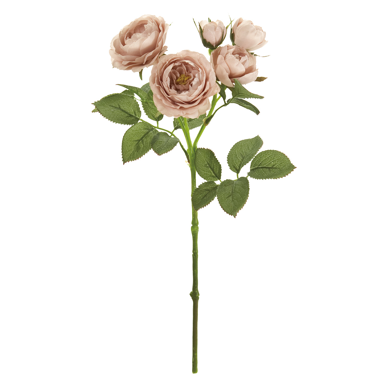 マイフラ】 通販/MAGIQ エクリュメリンダローズ アンティークピンク アーティフィシャルフラワー 造花 FM000154-002 バラ(アンティークピンク):  MAGIQ(アーティフィシャルフラワー 造花)/全国にMAGIQ、花器、花資材などをお届けします。